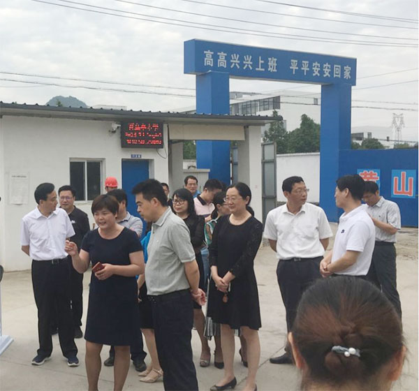 孔曉宏調研百鳥亭小學建設推進情況