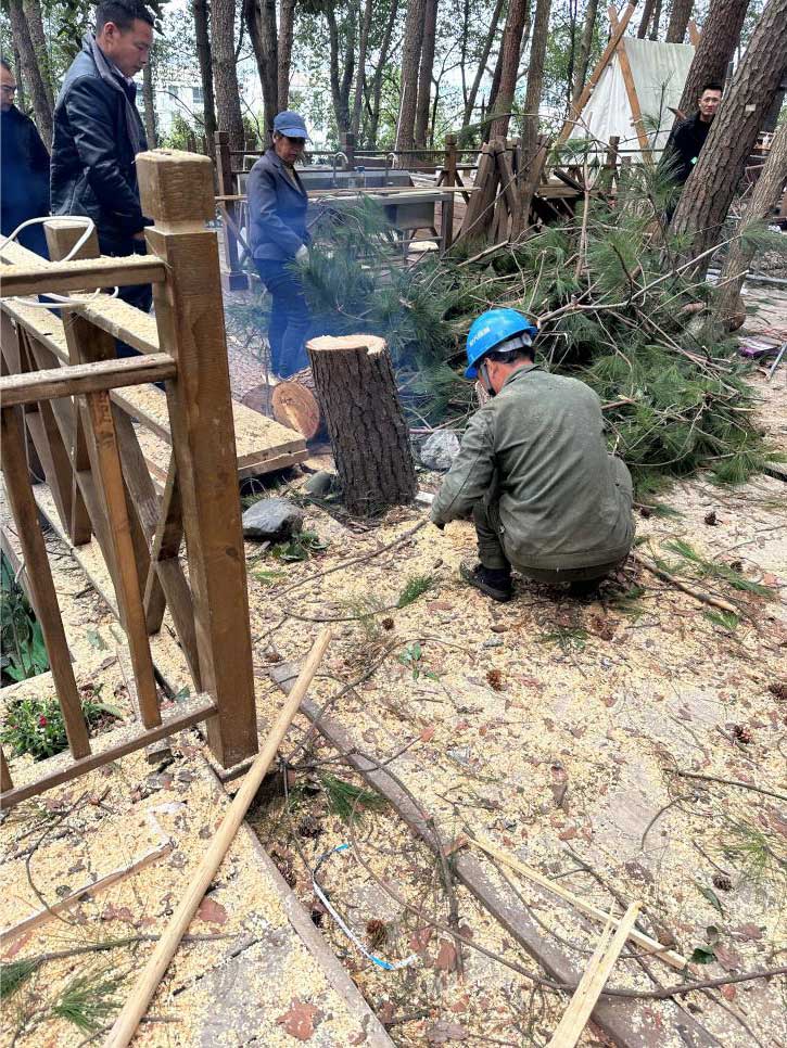 排除隱患，國(guó)資公司砍樹(shù)解民憂