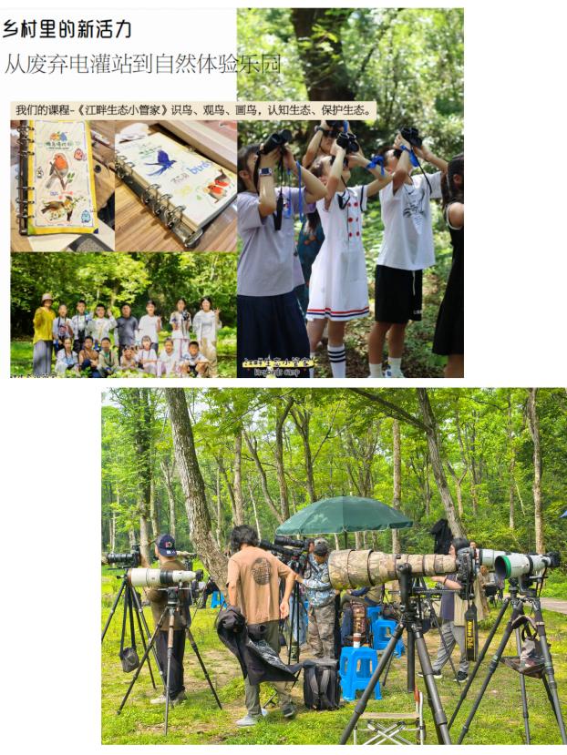 8000萬(wàn)熱度炸屏！屯溪“護(hù)村小祖宗”聯(lián)動(dòng)短劇頂級(jí)頭部平臺(tái)帶火綬帶鳥，短劇+文旅解鎖鄉(xiāng)村振興新密碼